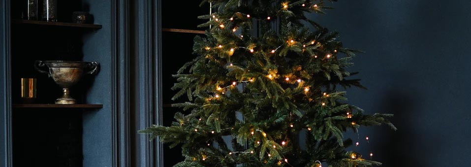 CHRISTMAS-TREE-2